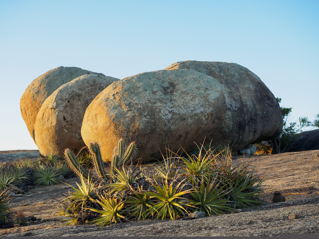 From Gut to Gaia: The Internet of Things and Earth Repair